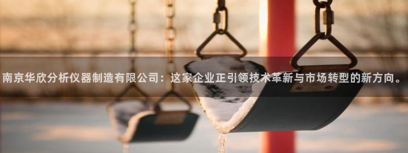门徒娱乐平台介绍图片：南京华欣分析仪器制造有限公司：这家企业