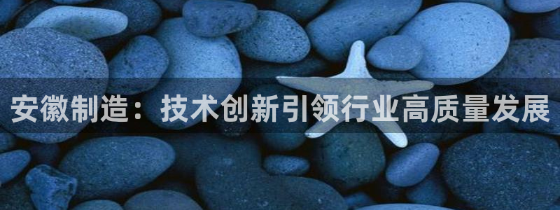 门徒娱乐统究7276O：安徽制造：技术创新引领行业高质量发展