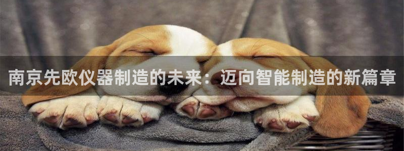 门徒娱乐属于什么系列：南京先欧仪器制造的未来：迈向智能制造的