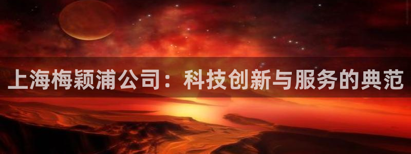 门徒娱乐能挣钱嘛：上海梅颖浦公司：科技创新与服务的典范