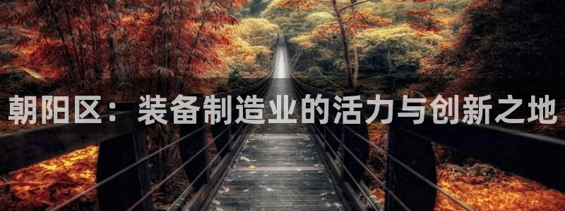 门徒娱乐属于哪个系列的：朝阳区：装备制造业的活力与创新之地