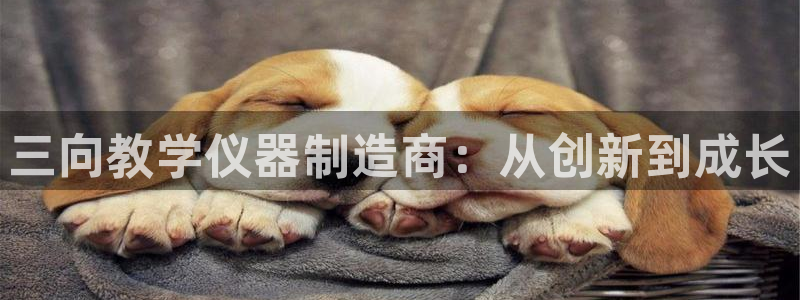 门徒娱乐川六七五一38：三向教学仪器制造商：从创新到成长