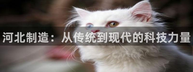 门徒娱乐是怎么赚钱的：河北制造：从传统到现代的科技力量