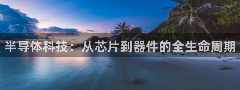 门徒娱乐怎么注册账号的：半导体科技：从芯片到器件的全生命周期