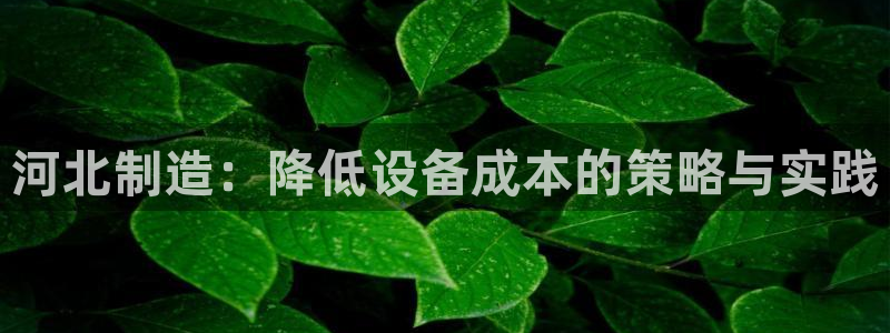 门徒娱乐链接：河北制造：降低设备成本的策略与实践