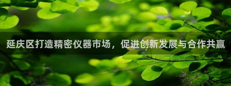 门徒娱乐什么平台能看：延庆区打造精密仪器市场，促进创新发展与