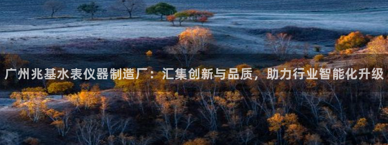门徒娱乐平台登录官网：广州兆基水表仪器制造厂：汇集创新与品质