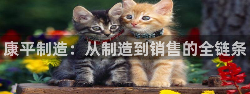 门徒娱乐登录地址：康平制造：从制造到销售的全链条