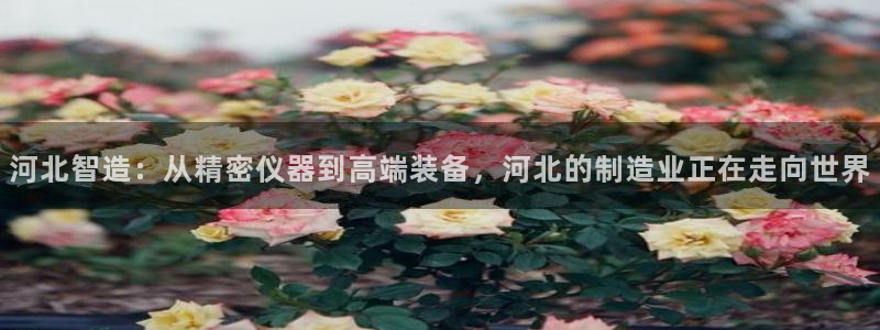 门徒娱乐登录地址：河北智造：从精密仪器到高端装备，河北的制造