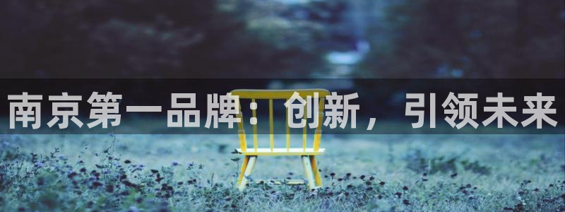 门徒娱乐平台安装方法：南京第一品牌：创新，引领未来