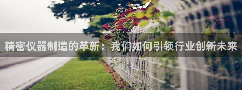 门徒娱乐队究7276O：精密仪器制造的革新：我们如何引领行业