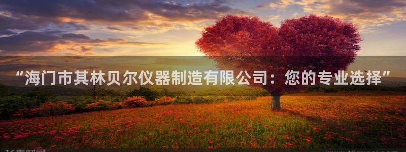 拉菲门徒娱乐：“海门市其林贝尔仪器制造有限公司：您的专业选择