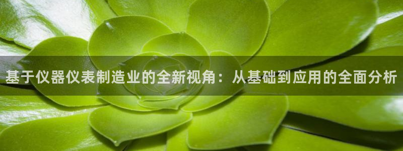 门徒娱乐黑钱：基于仪器仪表制造业的全新视角：从基础到应用的全