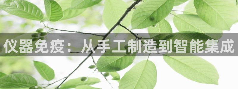 门徒娱乐属于哪个系列：仪器免疫：从手工制造到智能集成