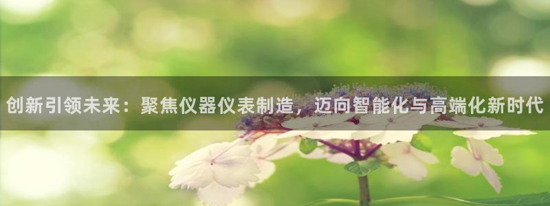 门徒娱乐几究7276O：创新引领未来：聚焦仪器仪表制造，迈向
