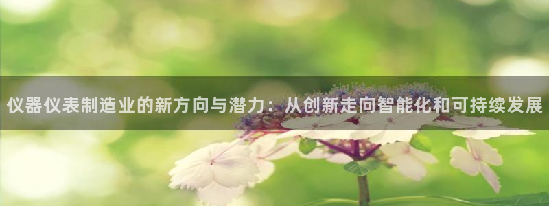 门徒娱乐官网登录入口：仪器仪表制造业的新方向与潜力：从创新走