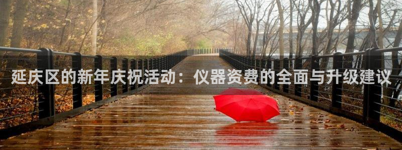门徒娱乐做什么的：延庆区的新年庆祝活动：仪器资费的全面与升级