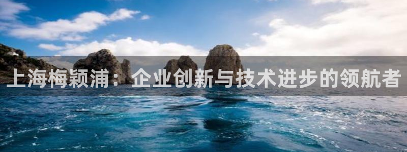 门徒娱乐找37997筘：上海梅颖浦：企业创新与技术进步的领航