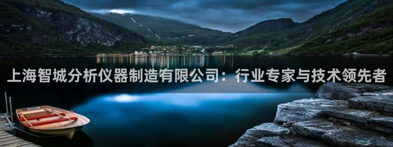 门徒娱乐登陆网站：上海智城分析仪器制造有限公司：行业专家与技