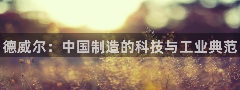 门徒娱乐代理怎么办：德威尔：中国制造的科技与工业典范