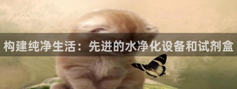 门徒娱乐官方地址查询：构建纯净生活：先进的水净化设备和试剂盒