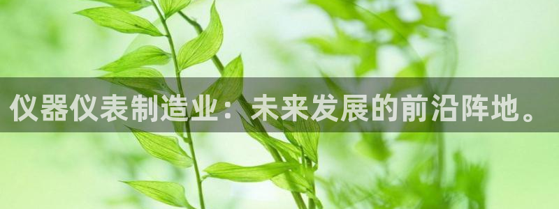 拉菲9门徒娱乐怎么样：仪器仪表制造业：未来发展的前沿阵地。