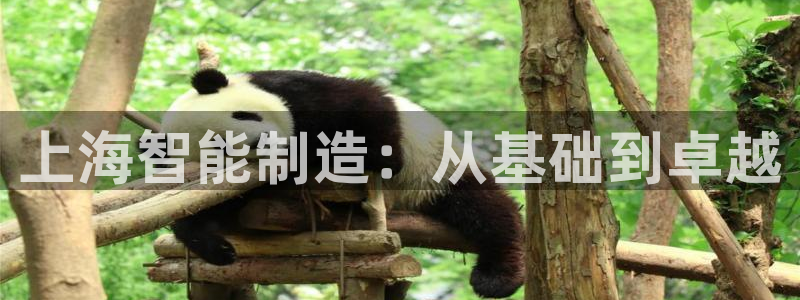 门徒娱乐联盟官网首页：上海智能制造：从基础到卓越