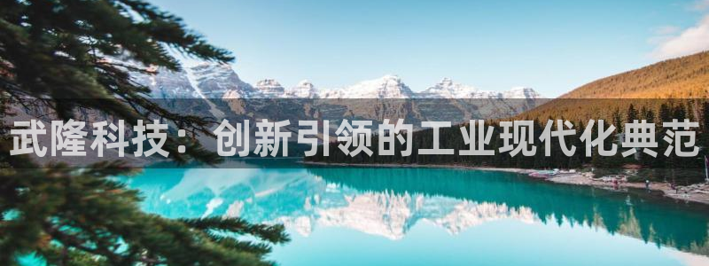 门徒娱乐加主管39977l6：武隆科技：创新引领的工业现代化