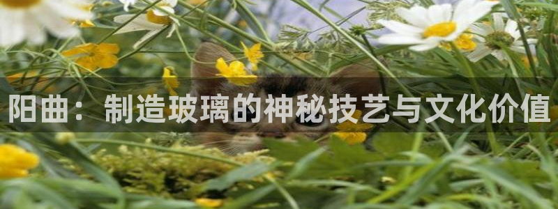 门徒娱乐官网首页：阳曲：制造玻璃的神秘技艺与文化价值