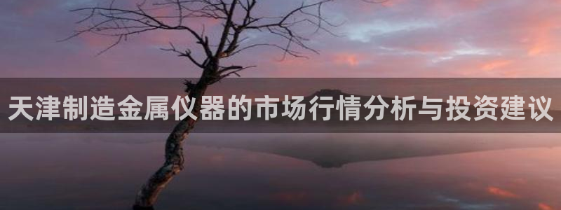 门徒娱乐代理注册官网：天津制造金属仪器的市场行情分析与投资建