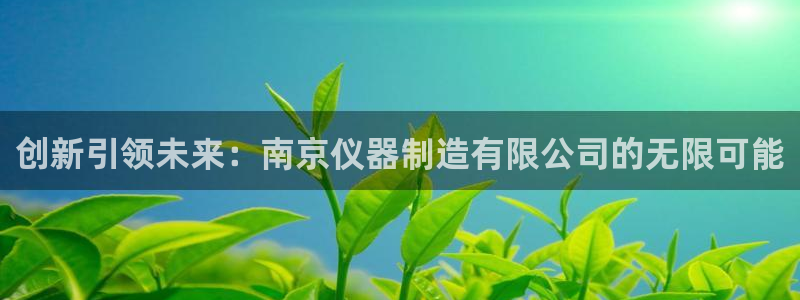 门徒娱乐平台代理怎么做：创新引领未来：南京仪器制造有限公司的