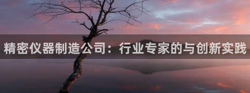 门徒娱乐能挣钱嘛视频：精密仪器制造公司：行业专家的与创新实践