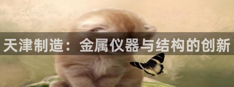 门徒娱乐官方客服电话：天津制造：金属仪器与结构的创新
