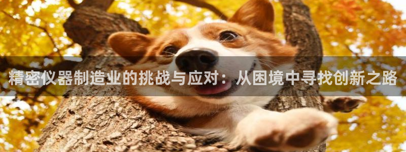 门徒娱乐登录中心在哪：精密仪器制造业的挑战与应对：从困境中寻