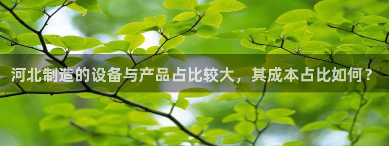 娱乐门徒笔趣阁：河北制造的设备与产品占比较大，其成本占比如何