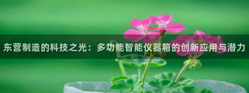 门徒娱乐大爆料：东营制造的科技之光：多功能智能仪器箱的创新应