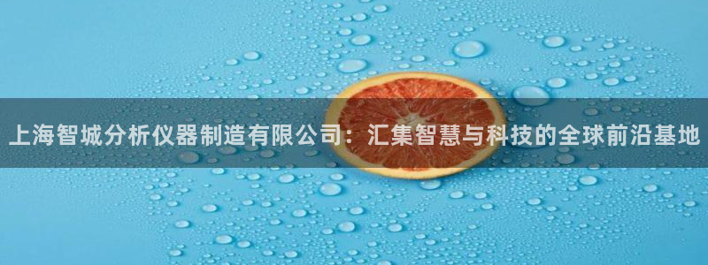 门徒娱乐怎么注册公司：上海智城分析仪器制造有限公司：汇集智慧