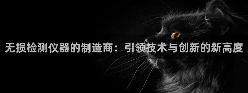 门徒娱乐计划百度网盘：无损检测仪器的制造商：引领技术与创新的