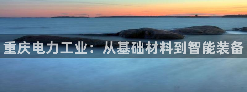 门徒娱乐下原把判官333OO：重庆电力工业：从基础材料到智能