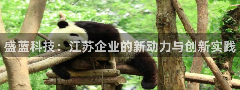 门徒娱乐登录中心在哪看：盛蓝科技：江苏企业的新动力与创新实践