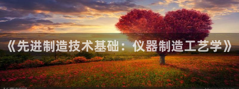 门徒娱乐官方网站地址查询：《先进制造技术基础：仪器制造工艺学