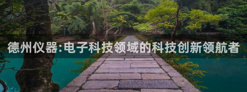 门徒娱乐官方地址查询网：德州仪器:电子科技领域的科技创新领航