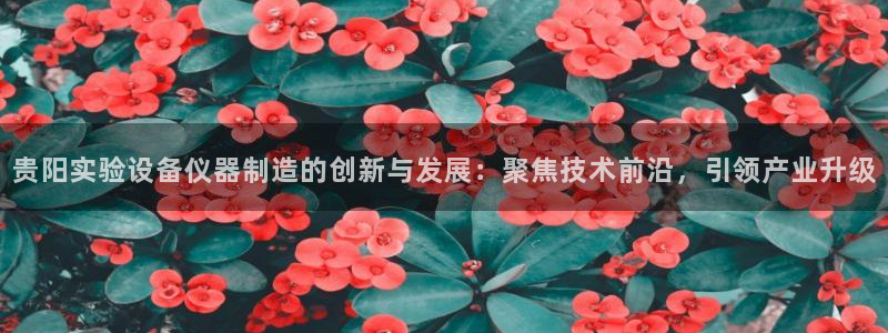 门徒彩票娱乐用户评价表：贵阳实验设备仪器制造的创新与发展：聚