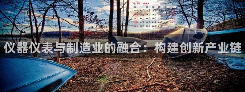 门徒娱乐是个什么软件啊：仪器仪表与制造业的融合：构建创新产业