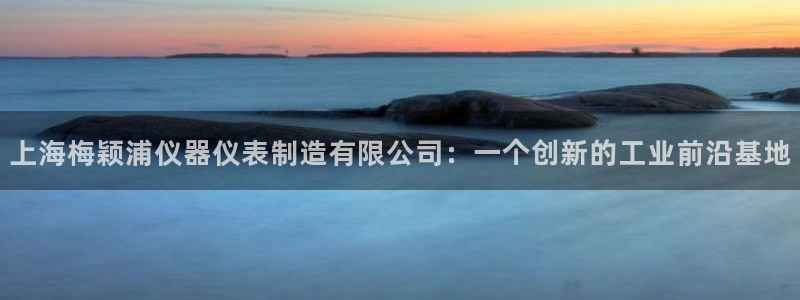 门徒娱乐乃六七五一38：上海梅颖浦仪器仪表制造有限公司：一个