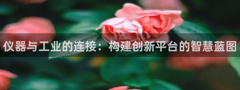 门徒娱乐跑路了：仪器与工业的连接：构建创新平台的智慧蓝图