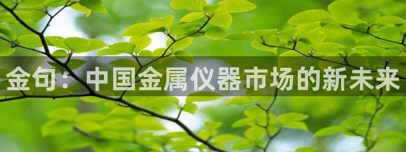 门徒娱乐线路怎么走的：金句：中国金属仪器市场的新未来