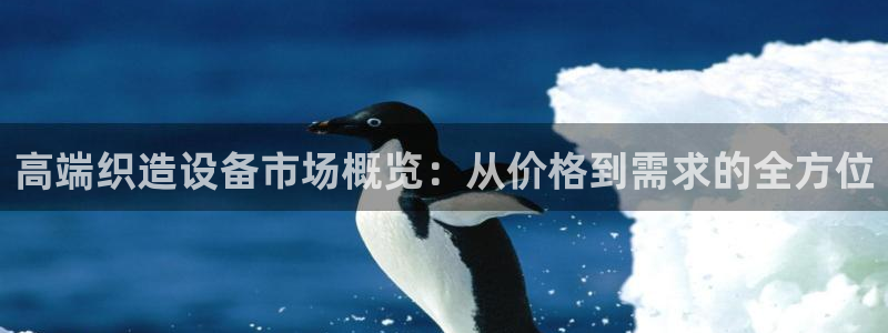 娱乐门徒r：高端织造设备市场概览：从价格到需求的全方位