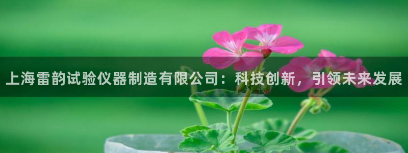 门徒娱乐登录网址：上海雷韵试验仪器制造有限公司：科技创新，引