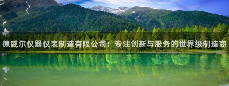 门徒娱乐计划：德威尔仪器仪表制造有限公司：专注创新与服务的世